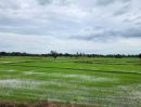 - ขายที่ดิน 44 ไร่ 360 ตร.ว. ติดถนนเพชรเกษม กม.143 เขาย้อย เพชรบุรี หน้ากว้าง 120 เมตร แบ่งขายได้