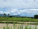 - ขายที่ดิน 44 ไร่ 360 ตร.ว. ติดถนนเพชรเกษม กม.143 เขาย้อย เพชรบุรี หน้ากว้าง 120 เมตร แบ่งขายได้