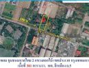  - 17 ล้าน! 381 ตร.ว. เฉลี่ย 44,620 บ./ตร.ว. | ใกล้สวน 50 พรรษา 100 ม. | เฉลิมพระเกียรติ ร.9
