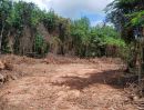 - ที่ดิน 231.3 ตร.ว. เขตเมืองสุราษฎร์ฯ | วัดประดู่ | โฉนดพร้อม | พัฒนาได้หลายรูปแบบ