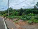 - ที่ดิน 231.3 ตร.ว. เขตเมืองสุราษฎร์ฯ | วัดประดู่ | โฉนดพร้อม | พัฒนาได้หลายรูปแบบ