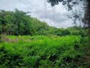 - ที่ดิน 231.3 ตร.ว. เขตเมืองสุราษฎร์ฯ | วัดประดู่ | โฉนดพร้อม | พัฒนาได้หลายรูปแบบ