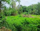 - ที่ดิน 231.3 ตร.ว. เขตเมืองสุราษฎร์ฯ | วัดประดู่ | โฉนดพร้อม | พัฒนาได้หลายรูปแบบ