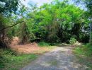 - ที่ดิน 231.3 ตร.ว. เขตเมืองสุราษฎร์ฯ | วัดประดู่ | โฉนดพร้อม | พัฒนาได้หลายรูปแบบ