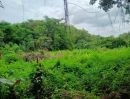 - ที่ดิน 231.3 ตร.ว. เขตเมืองสุราษฎร์ฯ | วัดประดู่ | โฉนดพร้อม | พัฒนาได้หลายรูปแบบ