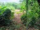 - ที่ดิน 231.3 ตร.ว. เขตเมืองสุราษฎร์ฯ | วัดประดู่ | โฉนดพร้อม | พัฒนาได้หลายรูปแบบ