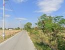 - ขายที่ดินหนองจอก 2 ไร่ ติดถนนลาดยาง ใกล้โรงงานโตโยต้าบ้านโพธิ์-4กม. อ.บางปะกง จ.ฉะเชิงเทรา