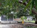  - ขายที่ดินสุขุมวิท ที่ดินพร้อมบ้านเดี่ยว 202 ตร.ว ใกล้รถไฟฟ้า BTSอุดมสุข เข้าจากถนนสุขุมวิท 280ม. ใกล้สี่แยกบางนา จุดขึ้นลงทางด่วน ไบเทค เซ็นทรัลบางนา