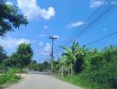 - ขายด่วน ขายถูก สวนลำไยบ้านเด่น ต.บ้านแม ห่างถนนเลี่ยงเมืองสันป่าตอง-หางดงเพียง 5 นาที
