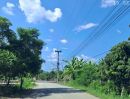 - ขายด่วน ขายถูก สวนลำไยบ้านเด่น ต.บ้านแม ห่างถนนเลี่ยงเมืองสันป่าตอง-หางดงเพียง 5 นาที