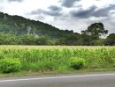 - ขายที่ดินสระบุรี อ.แก่งคอย แปลงสวย ติดถนนใหญ่ หน้ากว้าง 250 เมตร วิวภูเขา บรรยากาศดี