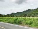 - ขายที่ดินสระบุรี อ.แก่งคอย แปลงสวย ติดถนนใหญ่ หน้ากว้าง 250 เมตร วิวภูเขา บรรยากาศดี