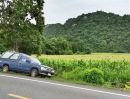 - ขายที่ดินสระบุรี อ.แก่งคอย แปลงสวย ติดถนนใหญ่ หน้ากว้าง 250 เมตร วิวภูเขา บรรยากาศดี