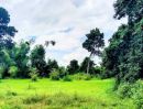  - ที่ดินอยู่อาศัย ติดถนน กลางชุมชน อ.ชำนิ บุรีรัมย์