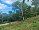 - ขายที่ดินวิวทะเล 6 ไร่ ทางขึ้นเนินเขา ทางเข้าน้ำตก ติดถนนสาธารณะ บรรยากาศดี ทำเลสวย ตำบลลิปะน้อย เกาะสมุย สุราษฎร์ธานี