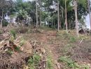 - ขายที่ดินวิวทะเล 6 ไร่ ทางขึ้นเนินเขา ทางเข้าน้ำตก ติดถนนสาธารณะ บรรยากาศดี ทำเลสวย ตำบลลิปะน้อย เกาะสมุย สุราษฎร์ธานี