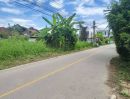 - ขายที่ดินตำบลสันกลางสันกำแพงห่างเรือนแพ 800เมตรพร้อมโอน