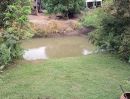 - บ้านสวนบรรยากาศริมน้ำ อยุธยา บ้านไม้เรือนไทย + ที่ดิน 315 ตร.ว.