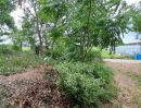 - บ้านสวนบรรยากาศริมน้ำ อยุธยา บ้านไม้เรือนไทย + ที่ดิน 315 ตร.ว.