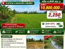  - ขายที่ดิน 12ไร่ ต.สง่าบ้าน อ.ดอยสะเก็ด เชียงใหม่