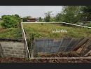 - ขายที่ดินเปล่า 1 ไร่ (ต.ตำหนักธรรม อ.หนองม่วงไข่ จ.แพร่)