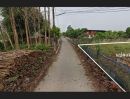 - ขายที่ดินเปล่า 1 ไร่ (ต.ตำหนักธรรม อ.หนองม่วงไข่ จ.แพร่)