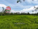  - ที่ดินแปลงนา เนื้อที่ 33-0-60 ไร่ ซอยโยธาธิการ (เกาะโพธิ์), ใกล้อบต.เกาะโพธิ์ ถนนสุวรรณศรทาง(หลวงหมายเลข 33) ตำบลเกาะโพธิ์ อำเภอปากพลี นครนายก