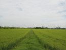  - ขายที่ดินเปล่า ตำบลมะขามล้ม อำเภอบางปลาม้า สุพรรณบุรี