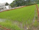 - ขาย ที่นาบ้านกาดฮาว อ.แม่ริม เชียงใหม่ จำนวน 1 ไร่