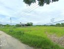  - ขายที่ดินเปล่า 2 ไร่ (ต.ขุนคง อ.หางดง จ.เชียงใหม่)