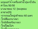 - ขายถูกมาก!! ทาวน์เฮ้าส์ 2 ชั้น ทำเลทอง ซอยบางนา-ตราด 12 ใกล้ไบเทคบางนา เซ็นทรัล สี่แยกบางนาฯ