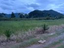 - ขายที่ดินเขาใหญ่ หมูสี ถนนธนะรัชต์ 2 ไร่ ใกล้ทางขึ้นอุทยานแห่งชาติเขาใหญ่ เข้าจากถนนธนะรัชต์ 250 เมตร ใกล้โรงแรม เทมส์วัลลีย์ ตลาดสามแยกกุดคล้า