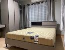 - ขายบ้านเดี่ยว 4 ห้องนอน กาญจน์กนก 12 เฟส 2 สารภี แปลงมุมติดสวน พร้อมเฟอร์ 5.8 ล้าน