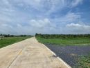 - ที่ดินคลอง 8 บึงบอน แปลงใหญ่ 200 ตร.ว. งบไม่ถึง 7 แสน