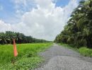 - ที่ดินคลอง 8 บึงบอน แปลงใหญ่ 200 ตร.ว. งบไม่ถึง 7 แสน
