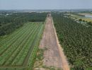 - ที่ดินคลอง 8 บึงบอน แปลงใหญ่ 200 ตร.ว. งบไม่ถึง 7 แสน