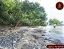 - ขาย ด่วน ที่ดิน บนเกาะ โหลน ติดหาด 370 เมตร