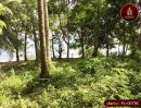 - ขาย ด่วน ที่ดิน บนเกาะ โหลน ติดหาด 370 เมตร