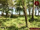 - ขาย ด่วน ที่ดิน บนเกาะ โหลน ติดหาด 370 เมตร