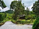 - ขายที่ดินพร้อมบ้านเขาใหญ่ ปากช่อง 1.5ไร่ หนองน้ำแดง ใกล้ถนนธนะรัชต์ มอเตอร์เวย์ M6 แม็คโคร อากาศดีวิวเขาสวยล้อมรอบ ที่สูงน้ำไม่ท่วม ใกล้โรงพยาบาล ตลาด
