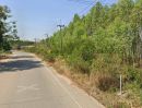 - ขายที่ดินนาวังหิน 3 ไร่ ซอยโรงเรียนบ้านเนิน ใกล้ถนนเส้น331-1.5กม. อ.พนัสนิคม ชลบุรี