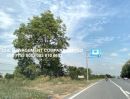 - ขาย 12 ล้าน ยกแปลง ที่ดิน 10 ไร่ ติดถนนสายเอเชีย พรหมบุรี