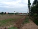 - ขายที่ดิน 12 ไร่ครึ่ง ติดถนนสาย 347 บางปะหัน อยุธยา