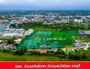 - ขายที่ดินผืนใหญ่ 33 ไร่ 3 งาน 46 ตร.ว. แปลงสวย ทำเลดี พนัสนิคม ชลบุรี เหมาะสร้างบ้าน-ลงทุน