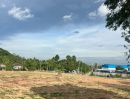 - ที่ดินวิววัดเขาตะแบก หนองขาม ศรีราชา ทำเลดี เหมาะสร้างบ้าน-ลงทุน