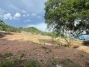 - ที่ดินวิววัดเขาตะแบก หนองขาม ศรีราชา ทำเลดี เหมาะสร้างบ้าน-ลงทุน