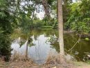- ที่ดินวิววัดเขาตะแบก หนองขาม ศรีราชา ทำเลดี เหมาะสร้างบ้าน-ลงทุน