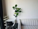 - ให้เช่าคอนโด Lifestyle Location + Privacy + Fully Furnished พร้อมอยู่ ทำเลดี เพียงนำกระเป๋าเข้าอยู่ได้เลย รับบัตรเครดิต