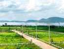  - ขายที่ดินคลองม่วง เขาใหญ่ ปากช่อง 2 ไร่ วิวเขาสวยมาก น้ำไฟพร้อม เดินทางสะดวก ไม่เปลี่ยว ทางไป My ozone Movenpick ใกล้เส้น 2235 The paz น้ำไม่ท่วม