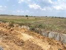 - ขายที่ดิน 8 ไร่ ติดถนนเลียบคลองสี่ขวา โรจนะ สายเอเชีย ใกล้มอเตอร์เวย์บางปะอิน